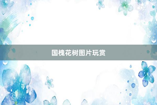 国槐花树图片玩赏